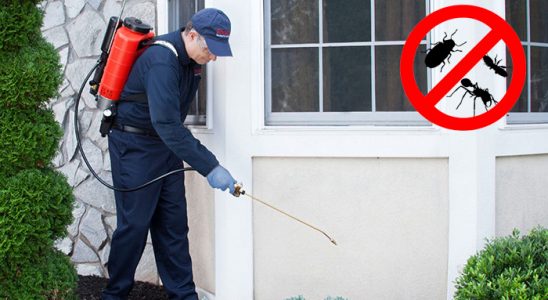 Buca Karınca İlaçlama böcek ilaçlama ve haşere kontrolü — ilaclama-tr.com